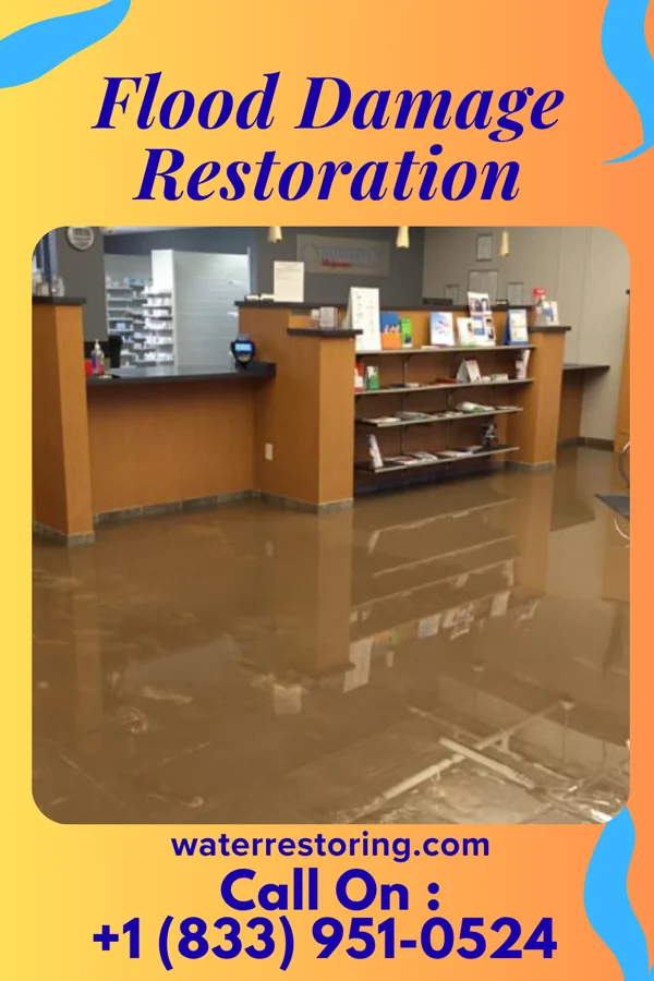 Flood Damage Restoration in Phillipstown, IL