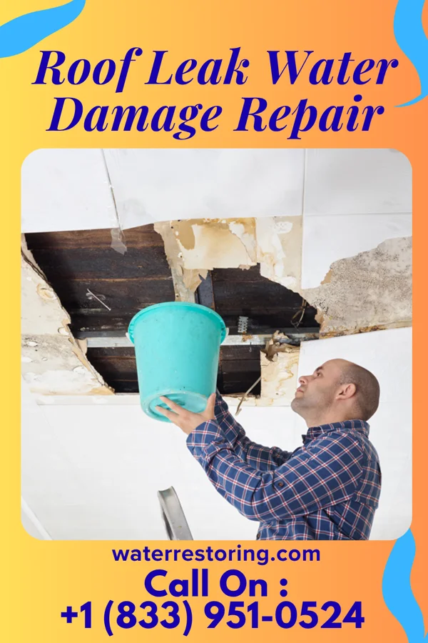 Roof Leak Water Damage Repair in Phillipstown, IL